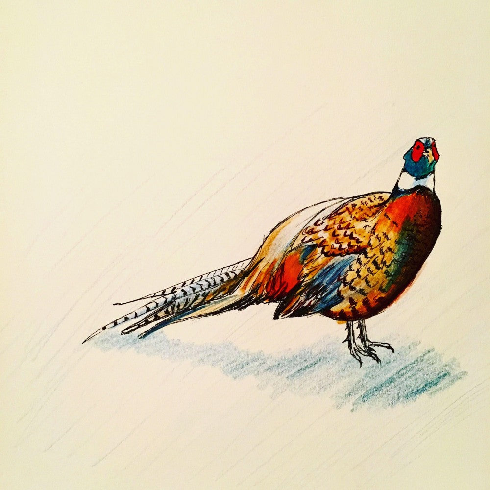 Pheasant | Diamond Painting