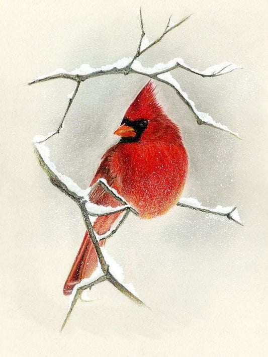 Cardinal | Diamond Painting