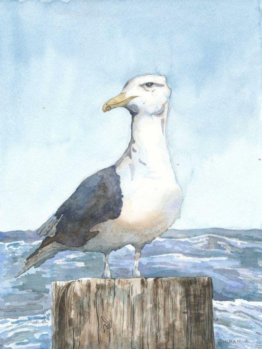 Gull | Diamond Painting