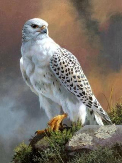Falcon | Diamond Painting