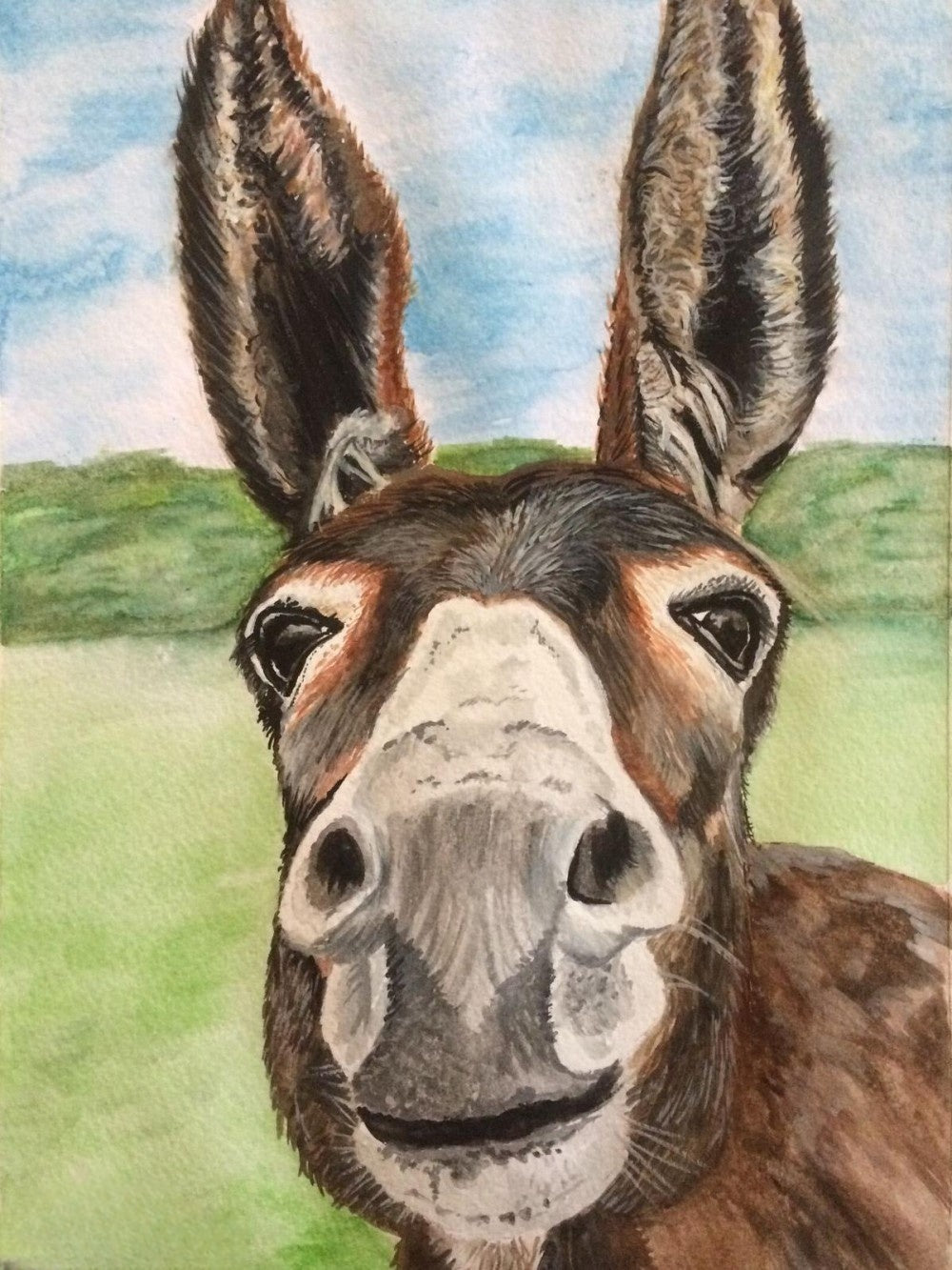 Donkey | Diamond Painting