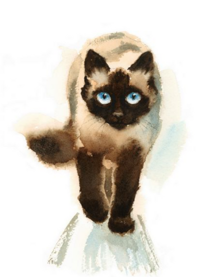 Siamese Cat | Diamond Painting