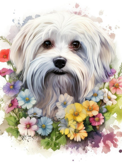 Havanese Dog | Diamond Painting