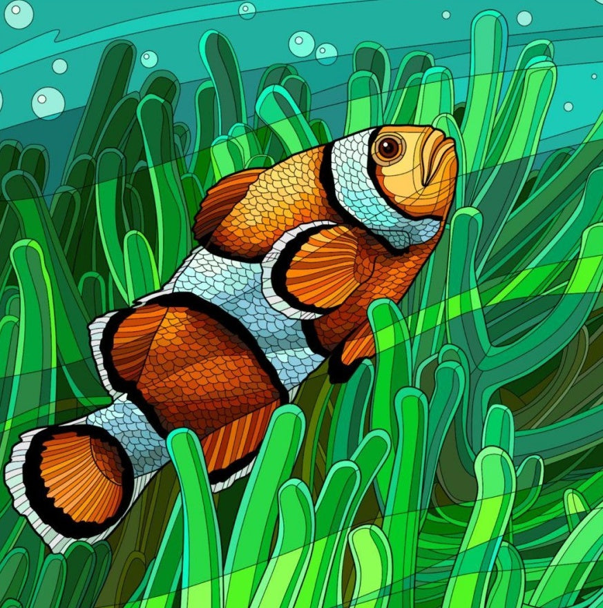 Clown Fish | Diamond Painting
