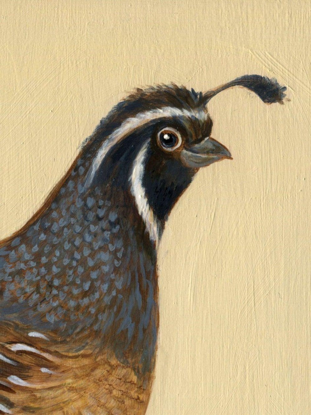 Quail | Diamond Painting