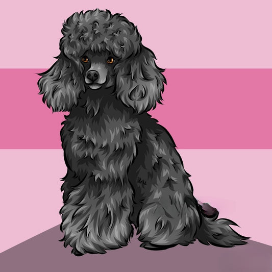 Poodle Dog | Diamond Painting