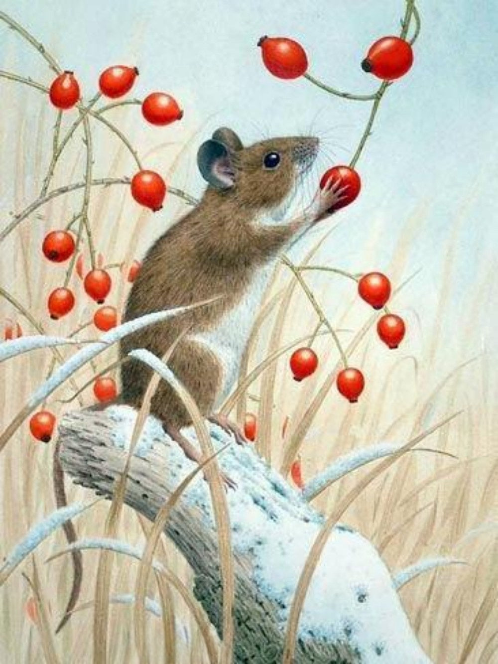 Mouse Rat | Diamond Painting