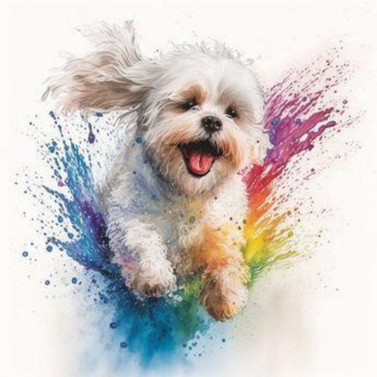 Dog Bichon Frise | Diamond Painting