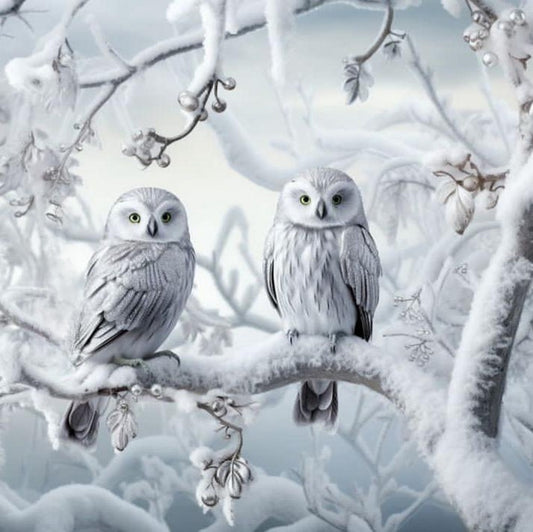 Snowy owl (White Owl) | Diamond Painting