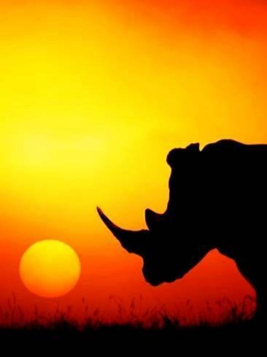 Rhino | Diamond Painting