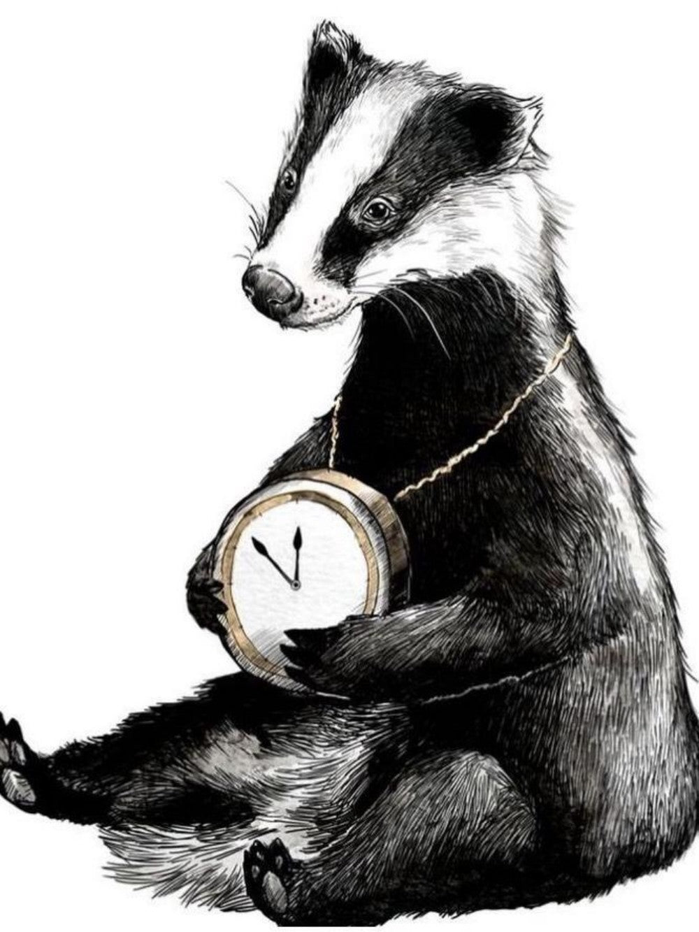 Badger | Diamond Painting