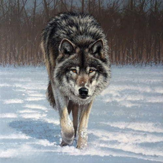 Wolf | Diamond Painting