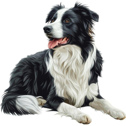 Dog Border Collie | Diamond Painting