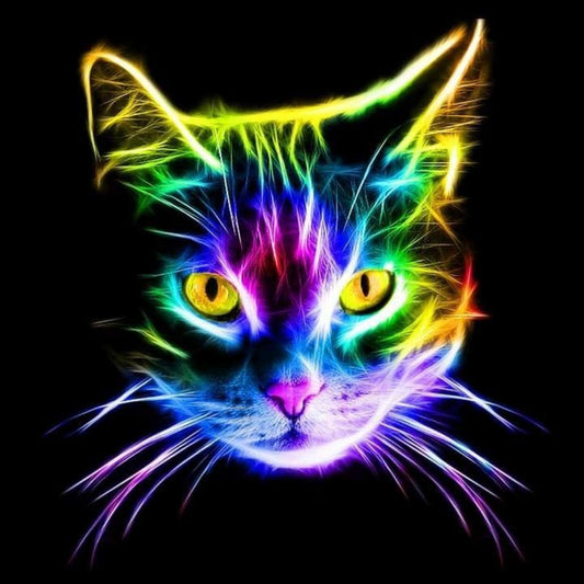 Colorful Cat | Diamond Painting