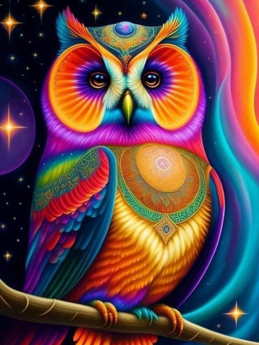 Colorful Owl | Diamond Painting