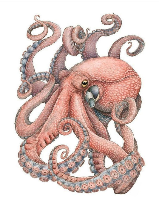 Octopus | Diamond Painting