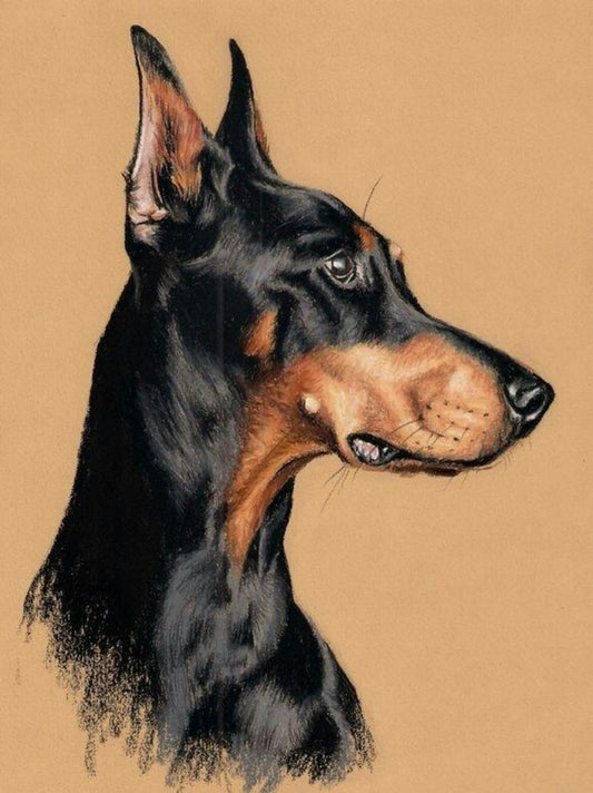 Dog Doberman | Diamond Painting