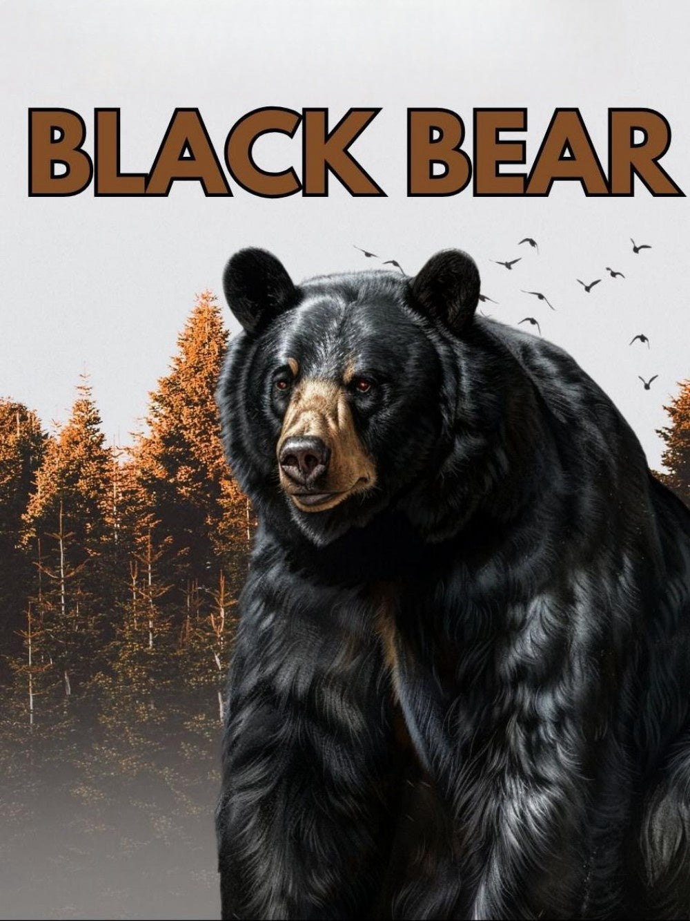 Black Bear | Diamond Painting