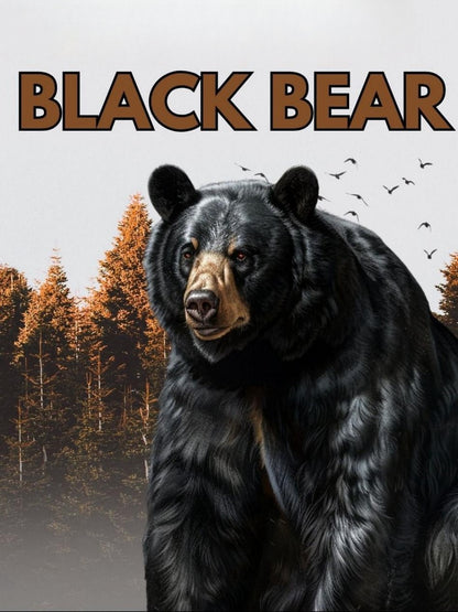 Black Bear | Diamond Painting