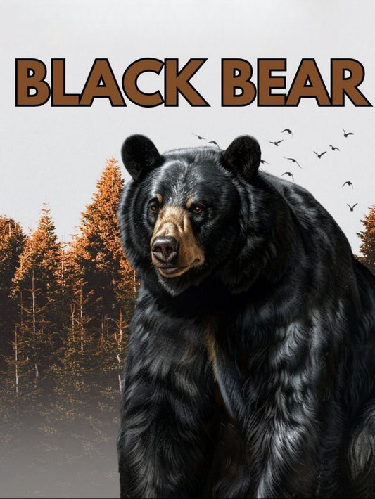 Black Bear | Diamond Painting