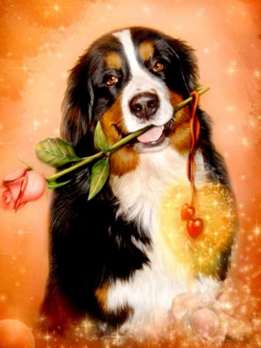Bernese Mountain Dog | Diamond Painting