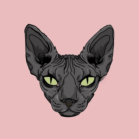 Sphynx Cat  | Diamond Painting