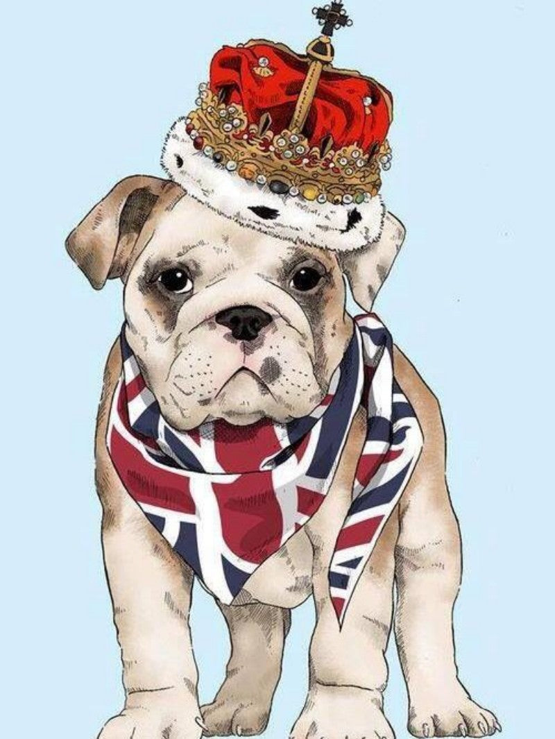 Dog English Bulldog | Diamond Painting