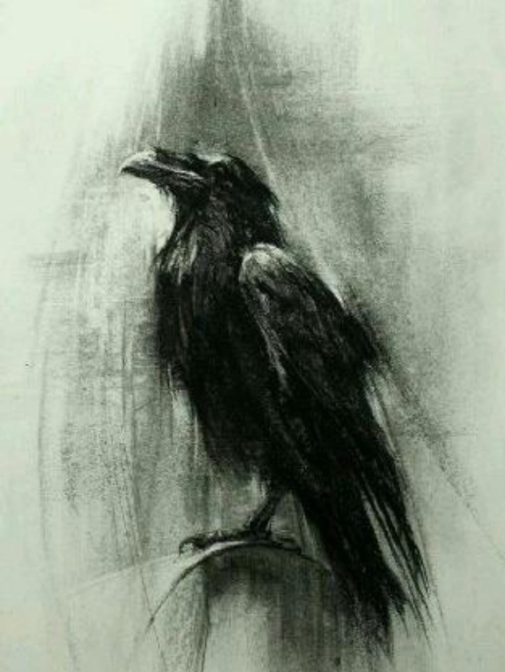 Crow | Diamond Painting