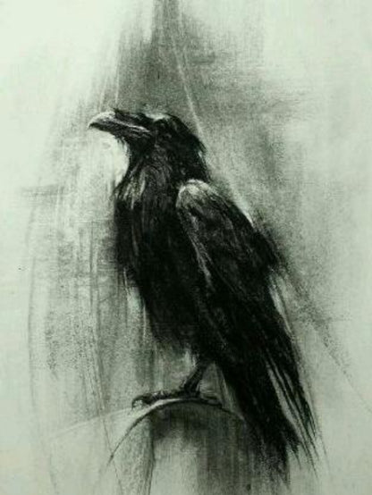 Crow | Diamond Painting