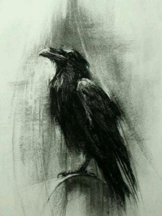 Crow | Diamond Painting