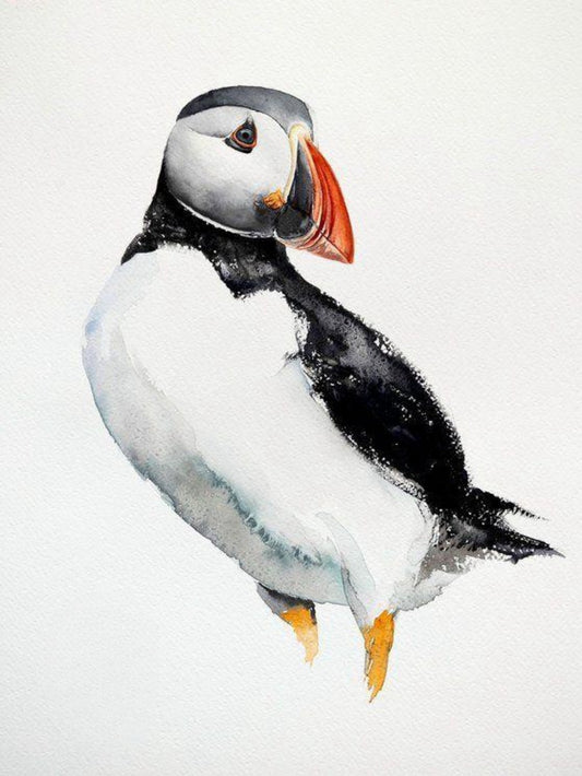 Puffin | Diamond Painting