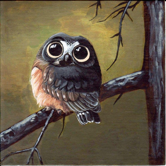 Owl | Diamond Painting