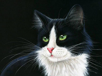 Tuxedo Cat  | Diamond Painting