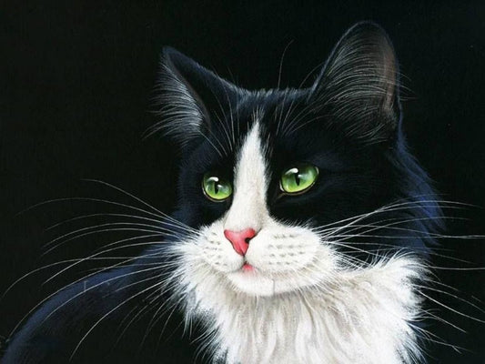 Tuxedo Cat  | Diamond Painting