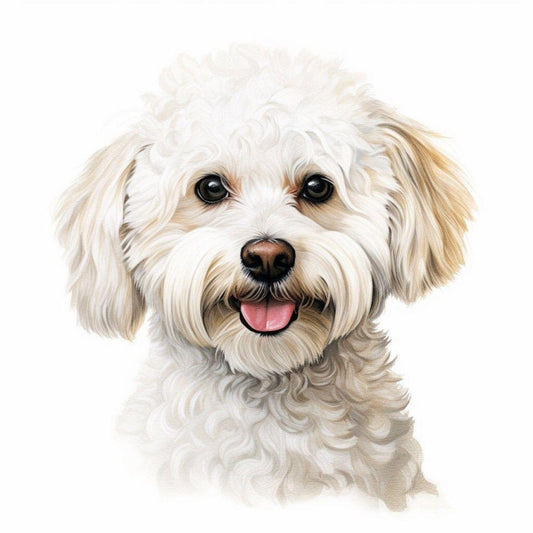 Poodle Dog | Diamond Painting
