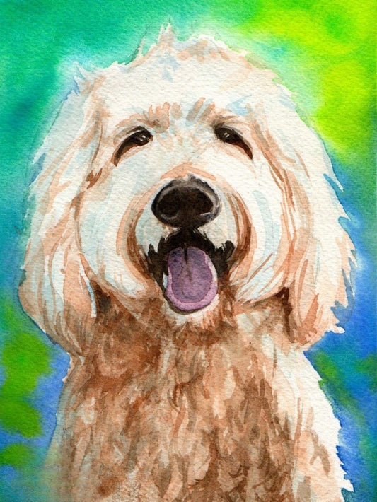 Poodle Dog | Diamond Painting