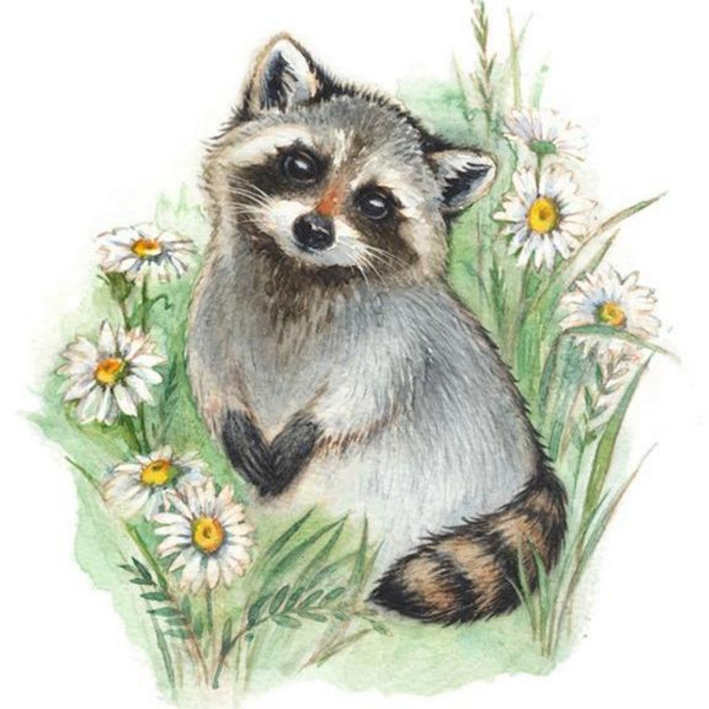 Raccoon | Diamond Painting