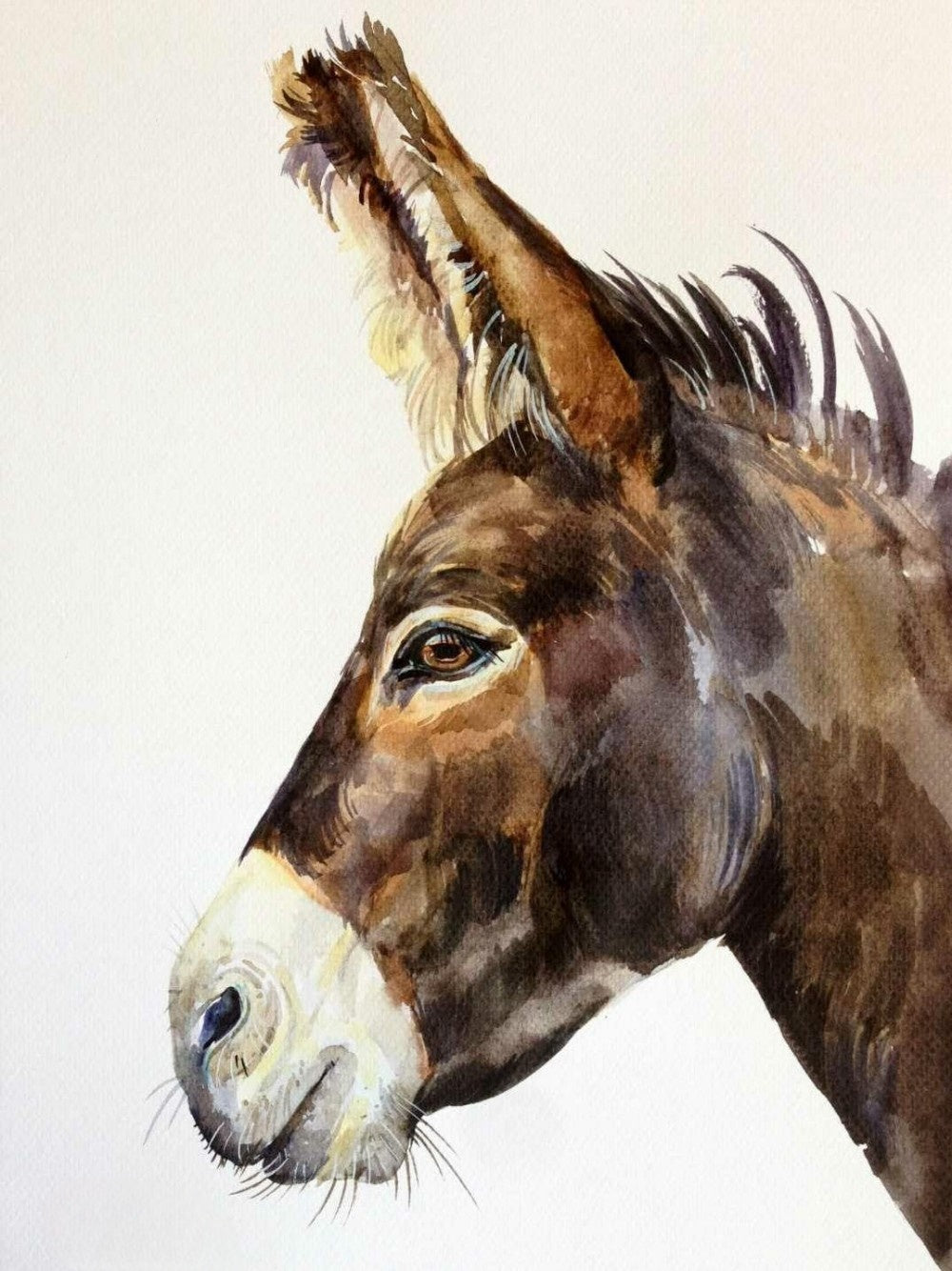 Donkey | Diamond Painting