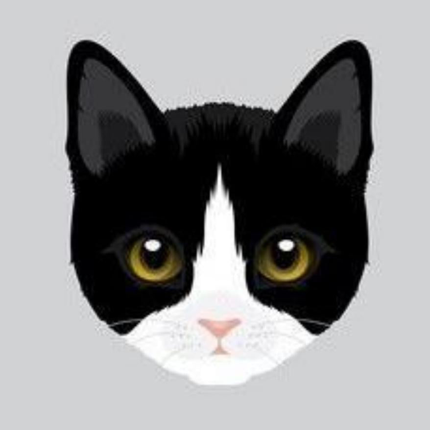 Tuxedo Cat  | Diamond Painting