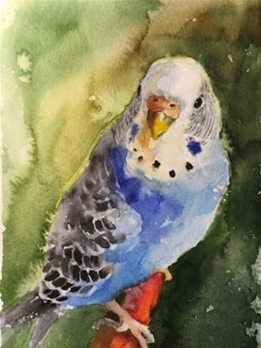 Budgie | Diamond Painting