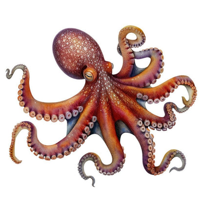 Octopus | Diamond Painting