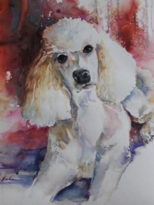 Goldendoodle Dog | Diamond Painting