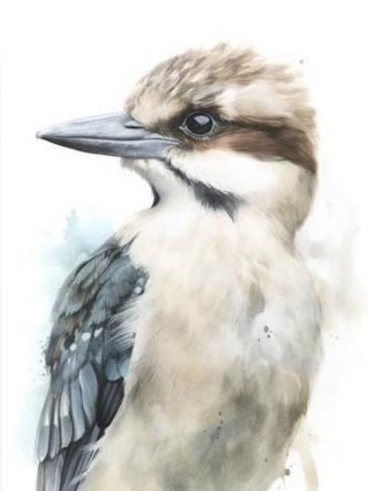 Kookaburra | Diamond Painting