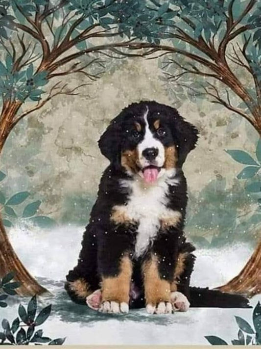 Bernese Mountain Dog | Diamond Painting