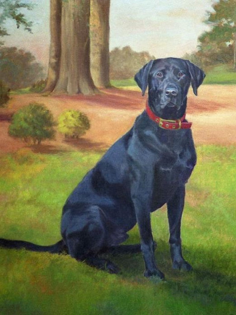 Black Labrador Dog | Diamond Painting