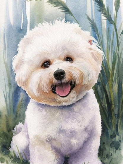 Dog Bichon Frise | Diamond Painting