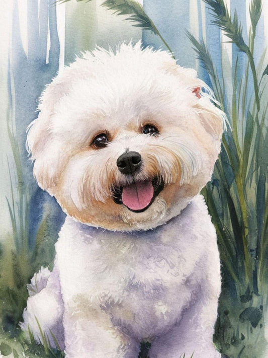 Dog Bichon Frise | Diamond Painting