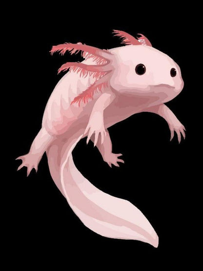 Axolotl | Diamond Painting