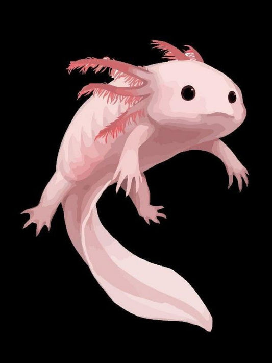 Axolotl | Diamond Painting
