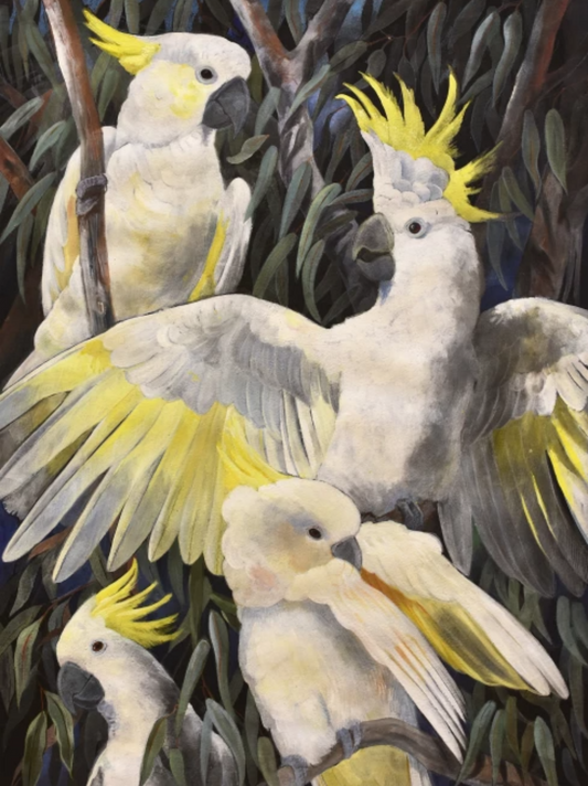 Cockatoo | Diamond Painting